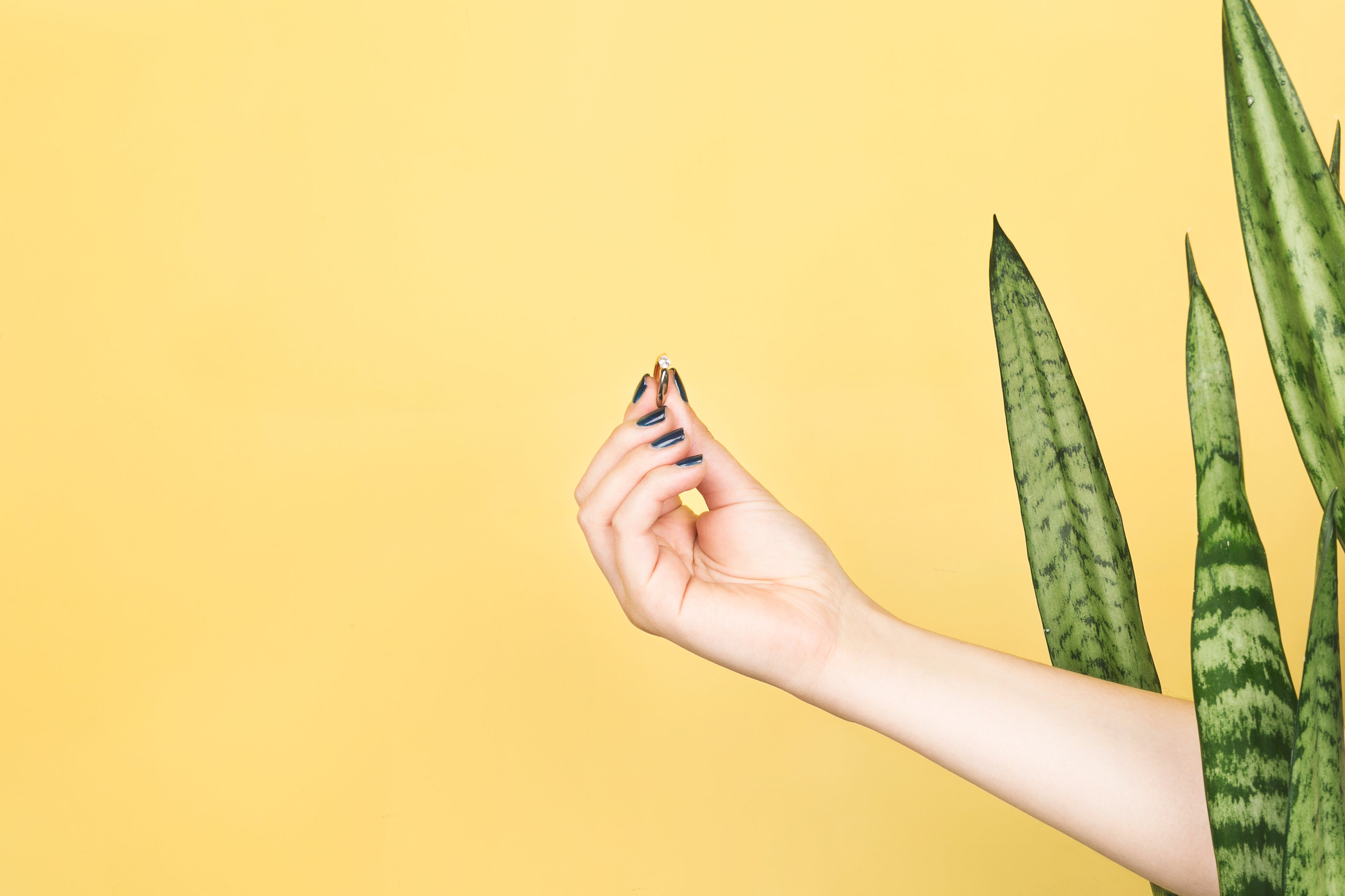 slider image 1621243260e1af0c20-0